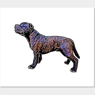 Staffordshire Bullterrier Posters and Art